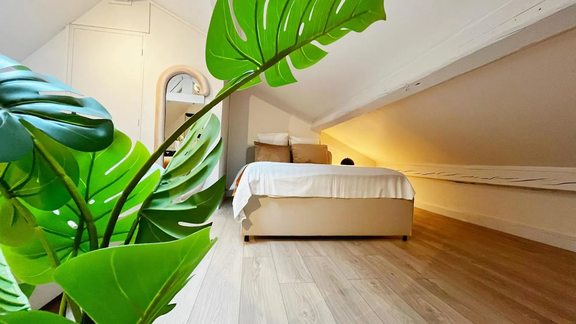 Bliss Apartment Lyon 0*,